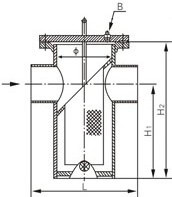 SRBIW籃式過濾器結構示意圖